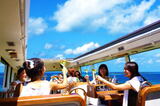 沖縄にレストランバス！ピクニック気分で観光＋食事が楽しめる