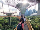 都会の異空間・ガーデンズバイザベイは巨大すぎるシンガポールの植物園