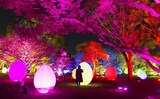 福岡城がキラキラ輝く！「光の祭」チームラボのデジタルアートで