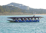 沖縄・ブセナ海中公園でグラスボートを楽しむ！綺麗な海と魚に癒される20分間