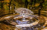 蛇口をひねればミネラルウォーター！熊本の水道水は天然水、ミネラル豊富でちょっとすごいぞ