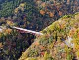紅葉に包まれる深谷大橋、島根県と山口県の県境にある渓谷が秋色に染まる
