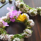 シロツメクサの花冠、簡単に作れるから親子でチャレンジ！意外と悩む最後「綴じ方」も