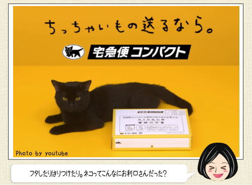 ネコも組立てられるのだ！ヤマト運輸の黒ネコを使った可愛すぎるCM動画