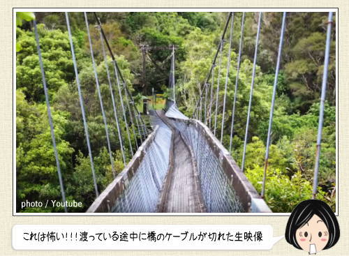 吊り橋のケーブルが切れた瞬間！ニュージーランドで渡っていた橋から投げ出される恐怖