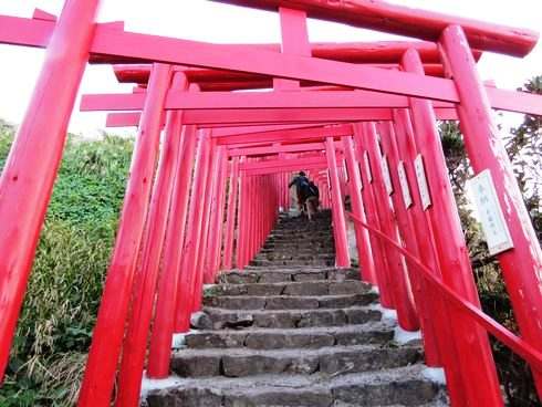 元乃隅稲成神社、赤い鳥居のトンネルを下る