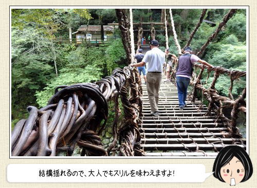 徳島の絶景、かずら橋を渡ってみた！蔓を編みこんで造った橋はスリル満点
