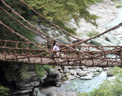 徳島県の絶景、祖谷のかずら橋