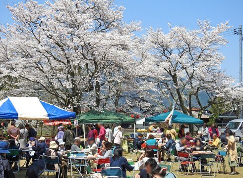 徳佐八幡宮 満開の桜と屋台