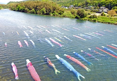 川を泳ぐ鯉のぼりが圧巻！山口県の珍しい「水中鯉のぼり」の風景