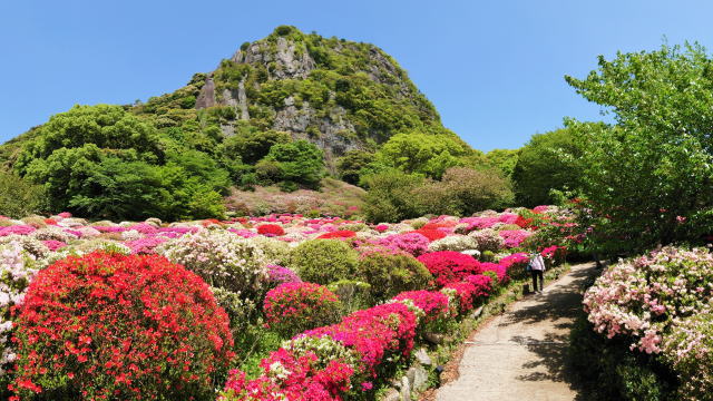 美しさにため息、佐賀県 武雄のシンボル「御船山」春の絶景