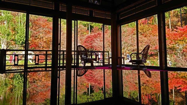 環境芸術の森「逆さ紅葉」で有名な佐賀の秘境に行列