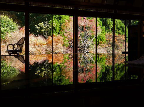 佐賀県 環境芸術の森 逆さ紅葉
