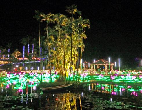 夜の沖縄観光に！東南植物楽園で180万球イルミネーションに包まれ光のお散歩