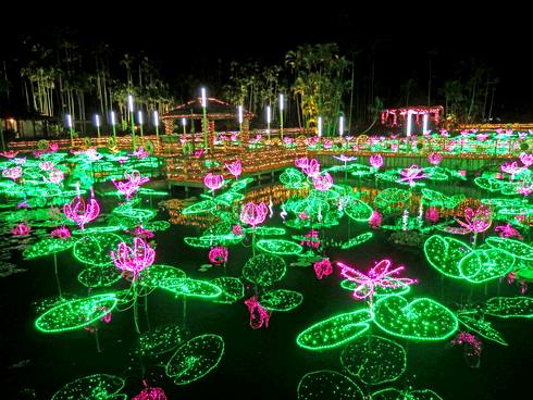 夜の沖縄観光に！東南植物楽園で180万球イルミネーションに包まれ光のお散歩