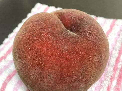 皮付きで食べる時は、固い桃を選ぶ！産毛は水で洗い流して