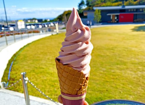 珍しい「やまももソフトクリーム」が食べられるのはここだけ？！山口県・蜂ヶ峯総合公園
