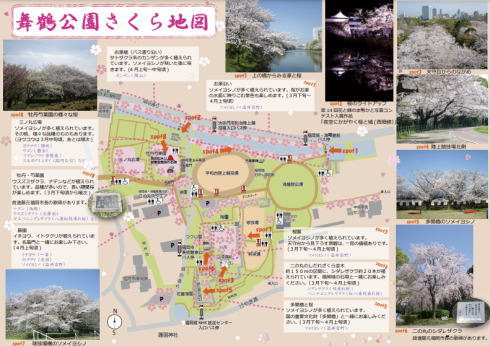 福岡 舞鶴公園 桜マップ