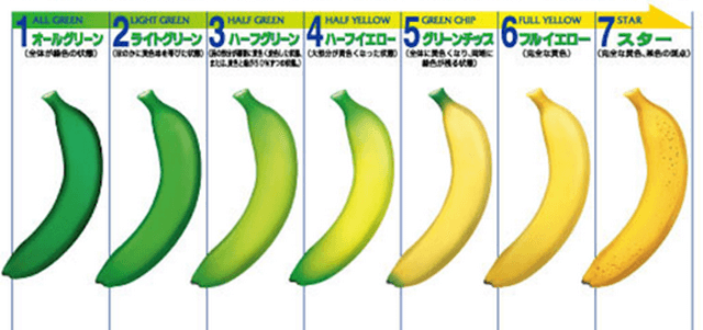 ドールによるバナナカラーチャート