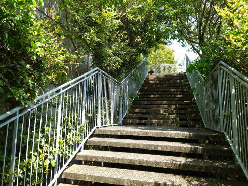 アクロス福岡 ステップガーデン 階段写真