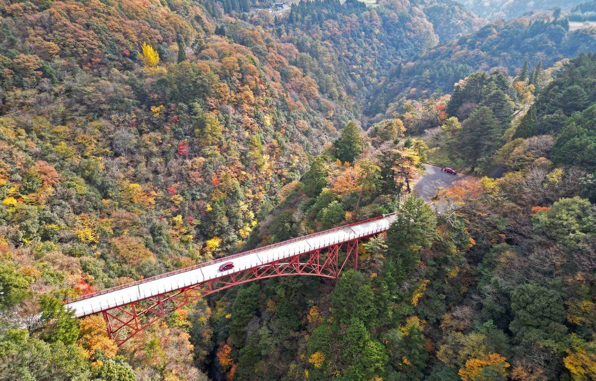 深谷大橋の紅葉、山口・島根の県境にある渓谷の紅葉がみごろへ