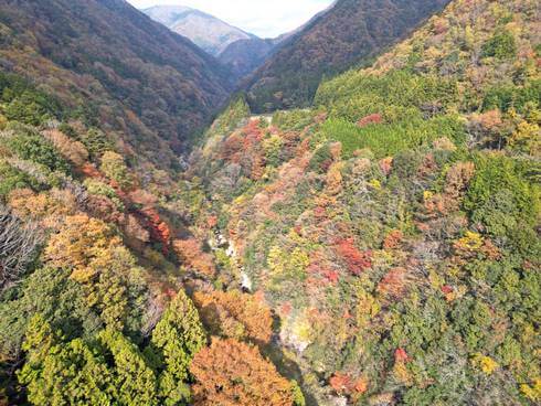 深谷大橋から見た紅葉、山口・島根の県境の渓谷