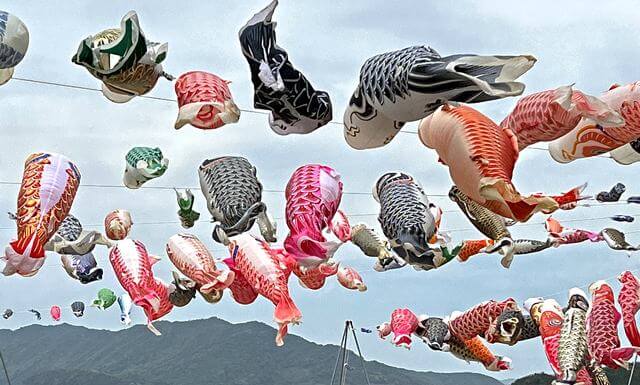 虹の鯉のぼりプロジェクト、山口県光市・虹ケ浜で鯉のぼり