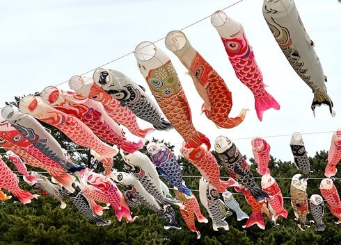虹の鯉のぼりプロジェクト、2023年も鯉のぼりが山口県光市で