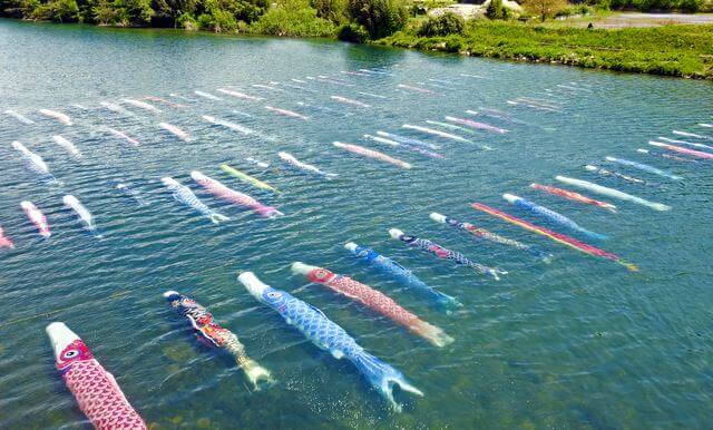 川を泳ぐ鯉のぼりが圧巻！山口県の珍しい「水中鯉のぼり」の風景