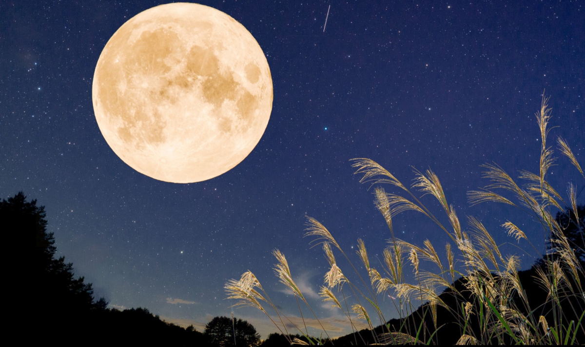 2023中秋の名月は9月29日、お月見グルメが出揃っています