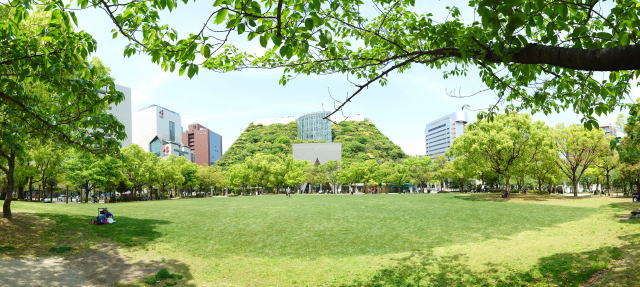 天神中央公園の芝生広場