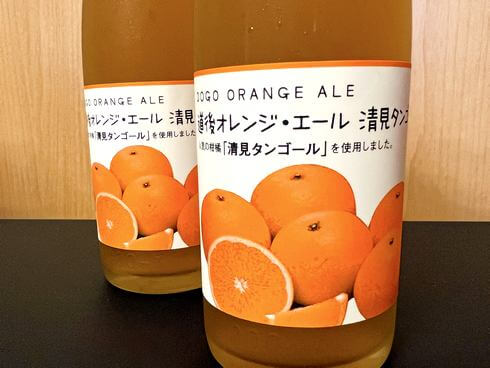 愛媛・水口酒造「道後オレンジエール 清見タンゴール」爽やかなフルーツビール
