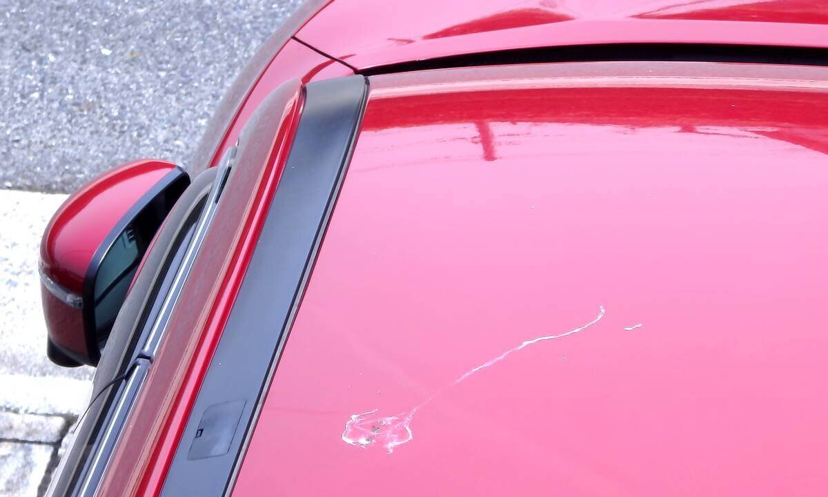 車の色には、鳥のフンを落とされやすい色があった…！鳥の糞攻撃を受けやすい理由