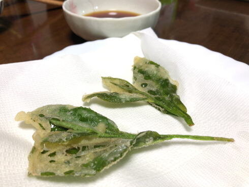 お茶の葉 天ぷら画像2