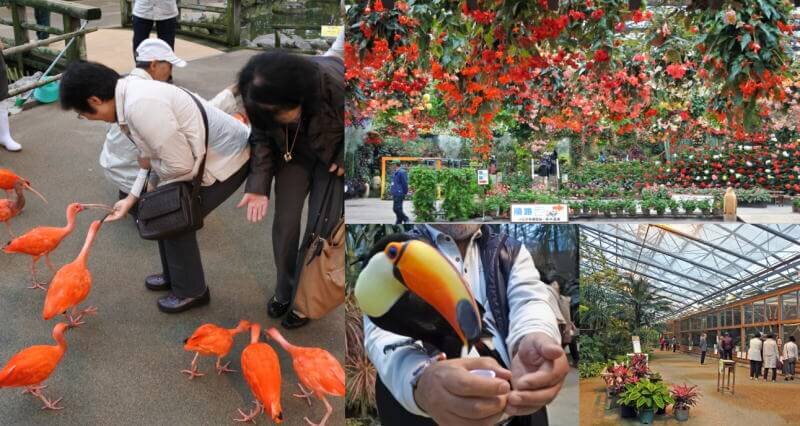 松江フォーゲルパーク、花園で鳥やペンギンと触れ合える癒しスポット！温室は国内最大級！