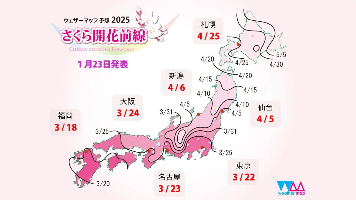 2025年の桜開花は早め！全国トップ開花は高知・福岡か