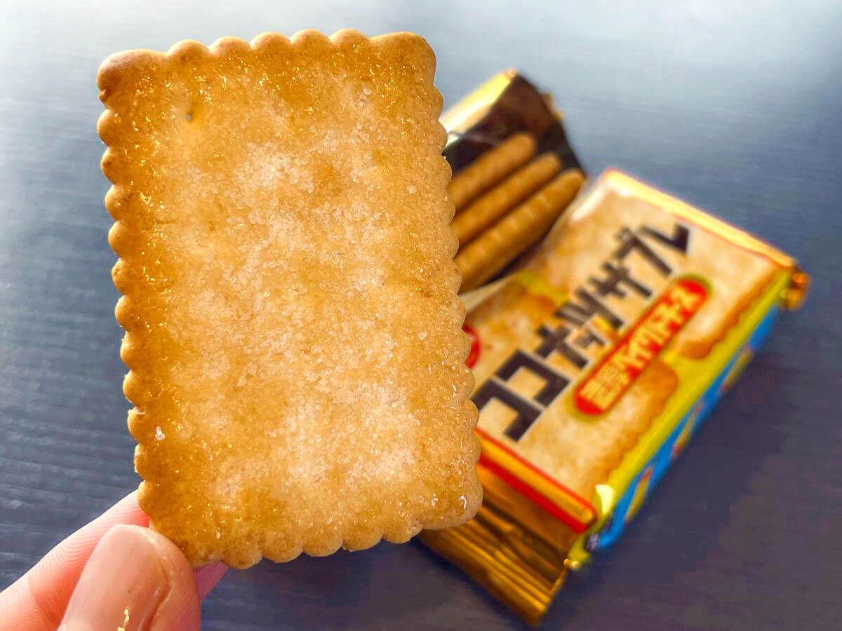 ココナッツサブレ60周年で「濃厚ベイクドチーズ」が復活、人気フレーバーが定番商品に