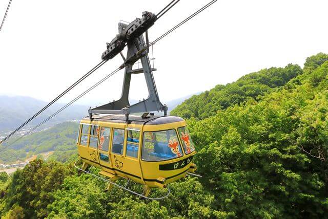 絶景スポット・SUSABINOテラス（すさびのテラス）宝登山ロープウェイで約10分！