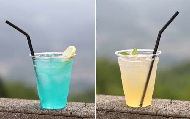 埼玉・長瀞のSUSABINOテラス（すさびのテラス）レストハウスに新メニュー