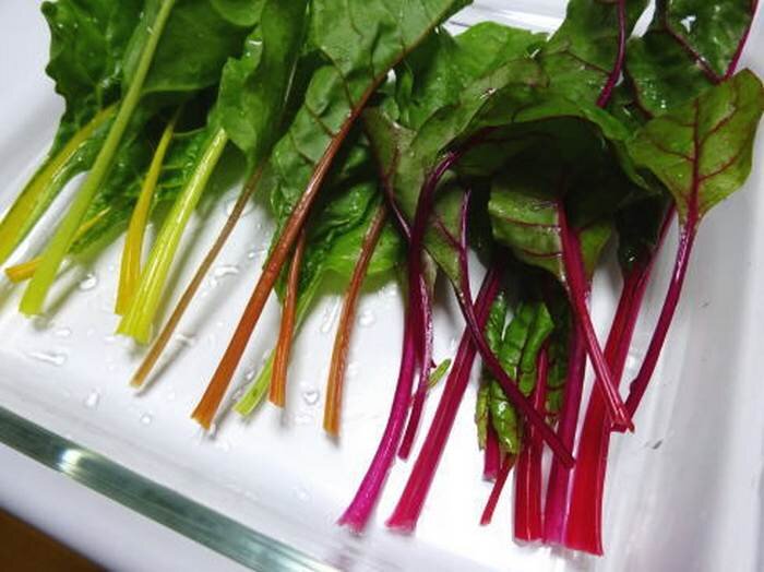 スイスチャードの食べ方、茎が黄色や赤紫・オレンジのカラフル葉野菜
