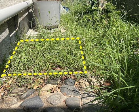 草ボーボーな場所に、除湿剤の水を使って除草できるかやってみます