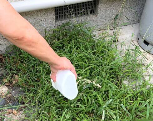除湿剤の水を除草剤として再利用できる?実験中
