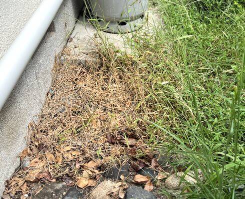 除湿剤の水は、強力な除草剤になる!すごい効果