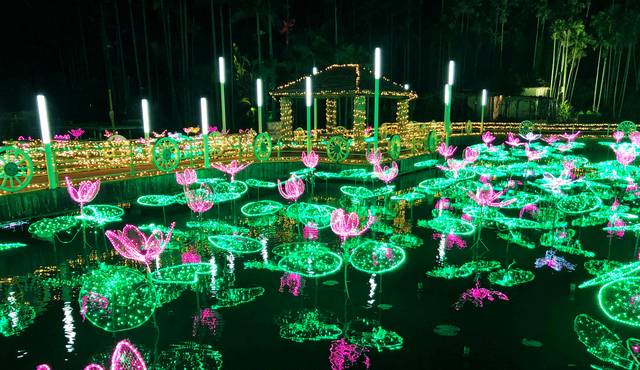 西日本イルミネーションランキング、2位　東南植物楽園 沖縄南国イルミネーション