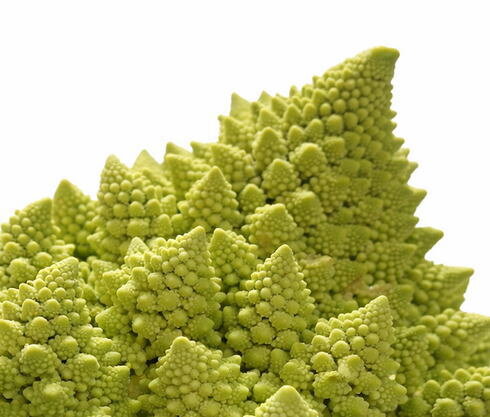 ロマネスコの味や調理法・メニューのおすすめ