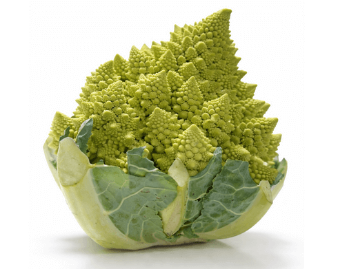 ロマネスコってどんな野菜？分解してみました！味や調理法など