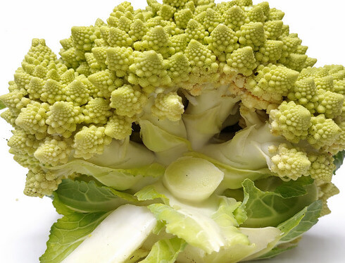 ロマネスコをカットしたら根本はこうなっている