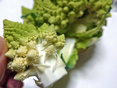 ロマネスコを1房ずつ切り分けると木（ツリー）みたい