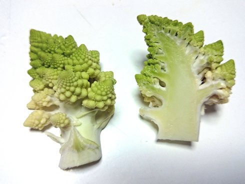 木（ツリー）みたいな断面が可愛いロマネスコ