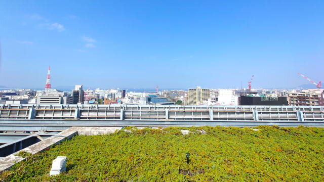 アクロス福岡 ステップガーデン屋上展望台から見る海側の景色